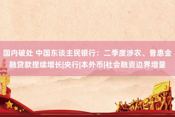 国内破处 中国东谈主民银行:二季度涉农、普惠金融贷款捏续增长|央行|本外币|社会融资边界增量