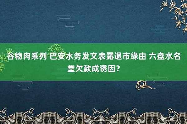 谷物肉系列 巴安水务发文表露退市缘由 六盘水名堂欠款成诱因？