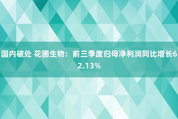 国内破处 花圃生物：前三季度归母净利润同比增长62.13%