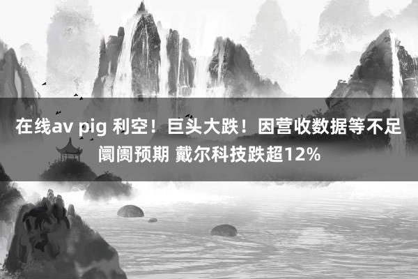在线av pig 利空！巨头大跌！因营收数据等不足阛阓预期 戴尔科技跌超12%
