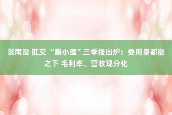 翁雨澄 肛交 “蔚小理”三季报出炉：委用量都涨之下 毛利率、营收现分化
