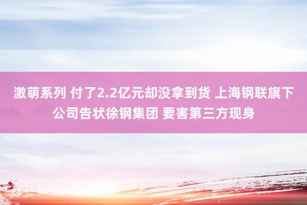 激萌系列 付了2.2亿元却没拿到货 上海钢联旗下公司告状徐钢集团 要害第三方现身