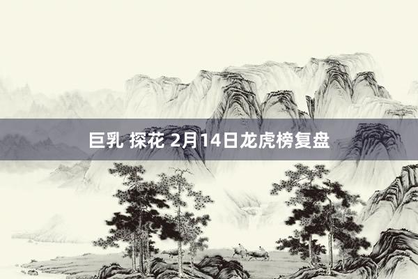 巨乳 探花 2月14日龙虎榜复盘