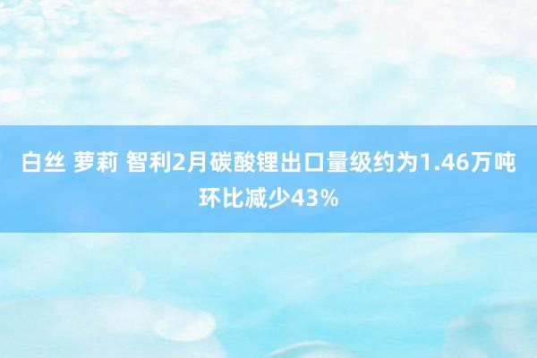 白丝 萝莉 智利2月碳酸锂出口量级约为1.46万吨环比减少43%