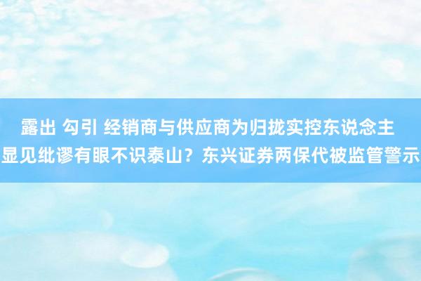 露出 勾引 经销商与供应商为归拢实控东说念主 显见纰谬有眼不识泰山？东兴证券两保代被监管警示